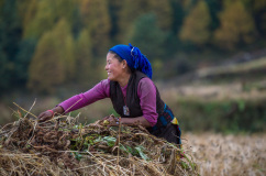 Dorf Lho im Manaslu Trekking.