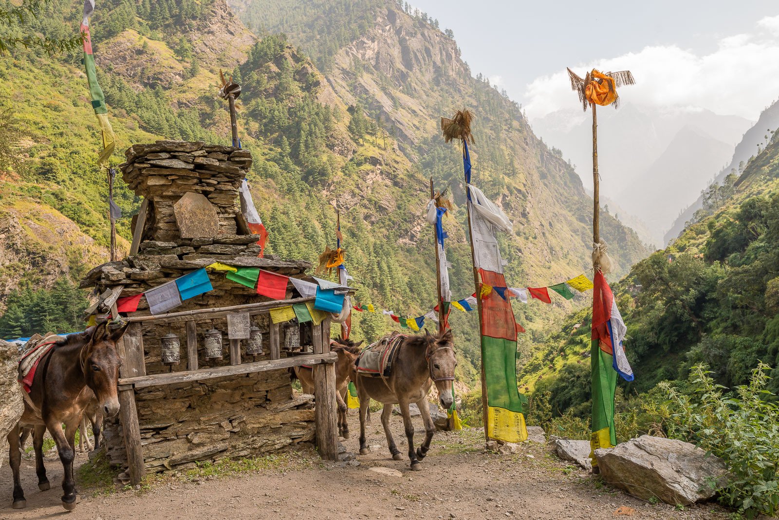 Manaslu Trek Nepal Himalaya