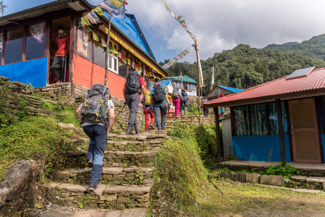 Trekking in Nepal- Mardi Himal Trek