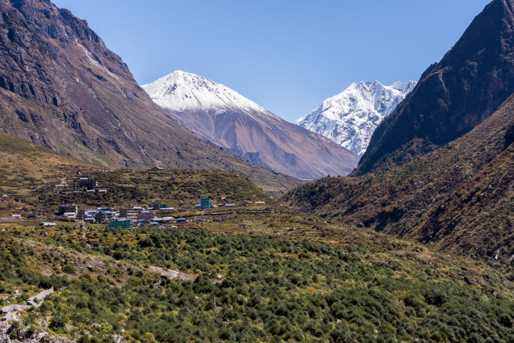 Langtang Dorf in Nepal mit traditionellen Häusern, grünen Berghängen und schneebedeckten Gipfeln des Tesrko Ri im Himalaya.